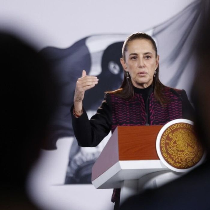 Sheinbaum anuncia denuncia por muerte de mexicano bajo custodia del ICE en Texas