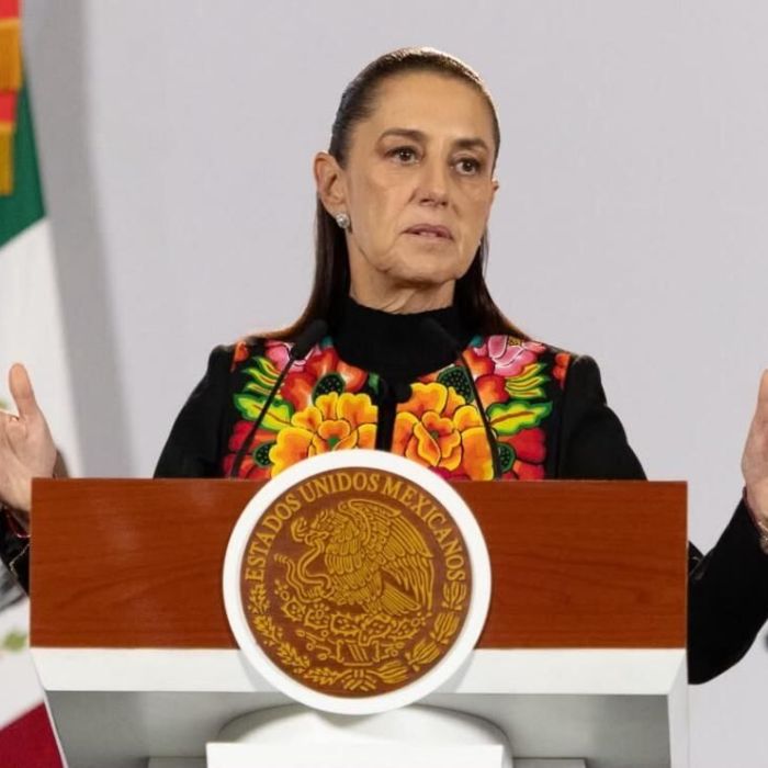 Sheinbaum asegura que la democracia no está en riesgo tras salida de Taddei del INE