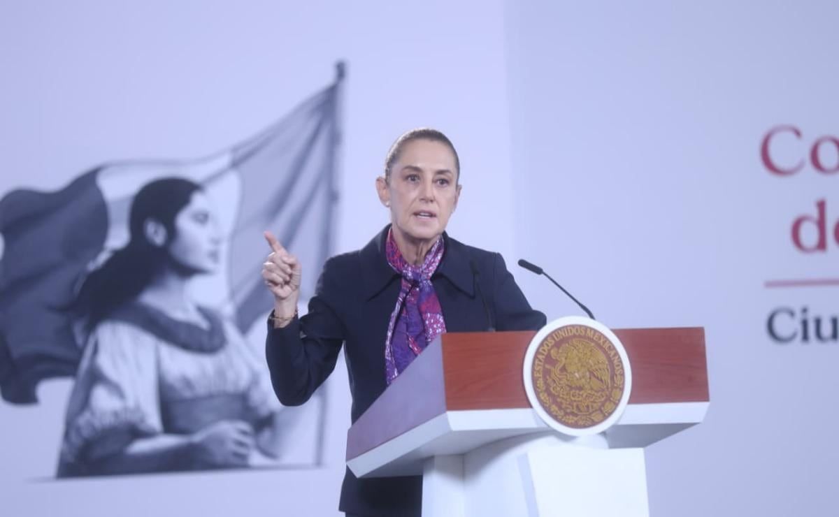 sheinbaum-pide-esperar-auditoria-al-ine-antes-de-determinar-posibles-delitos-de-taddei