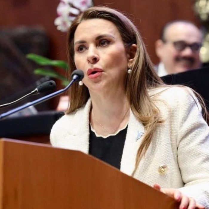 Sheinbaum pide investigar origen de recursos en patrimonio de Carolina Viggiano
