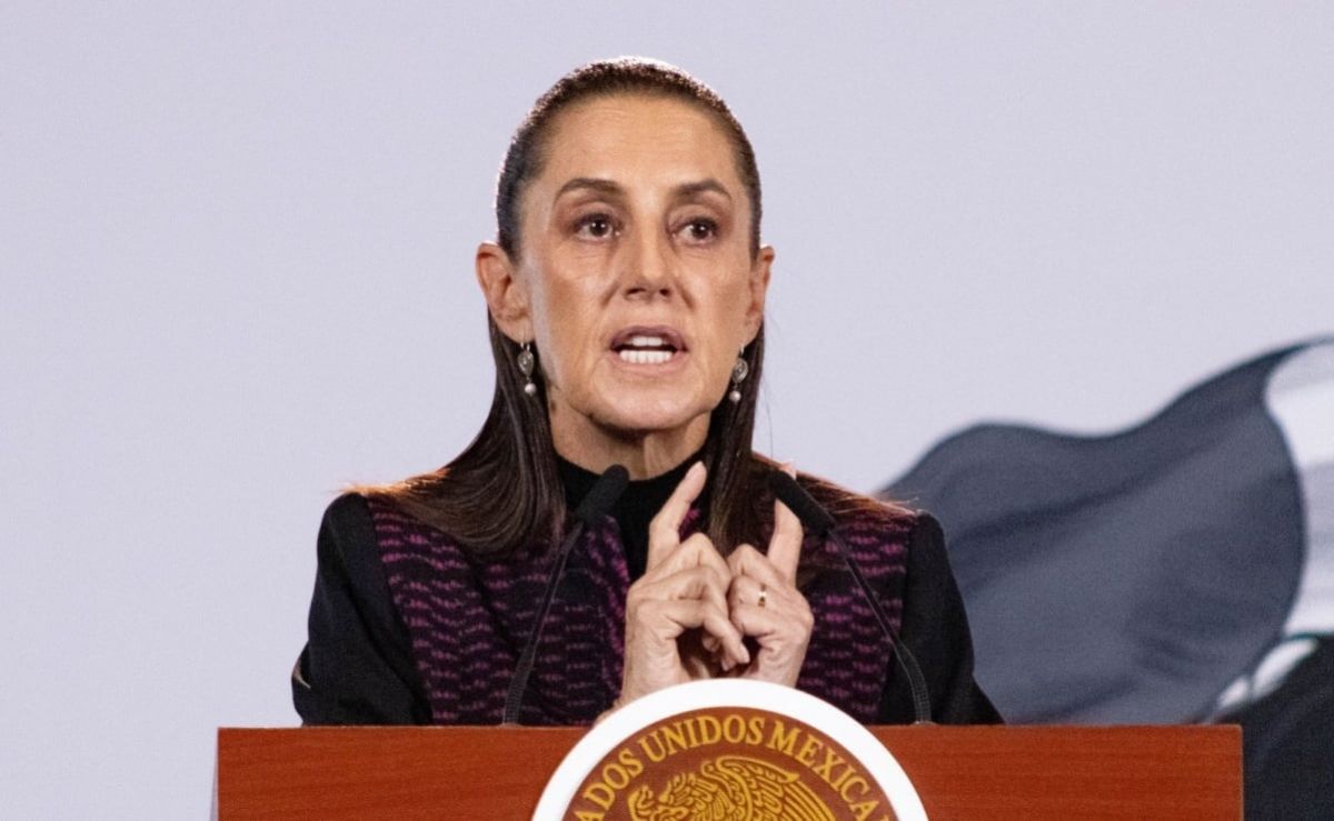sheinbaum-pide-la-renuncia-de-leonel-cota-por-actividad-politica-de-su-hijo-en-bcs