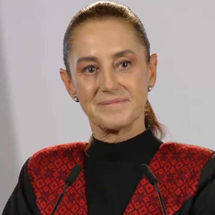Sheinbaum prevé reunión con Ronald Johnson y Roberto Velasco para abordar temas particulares