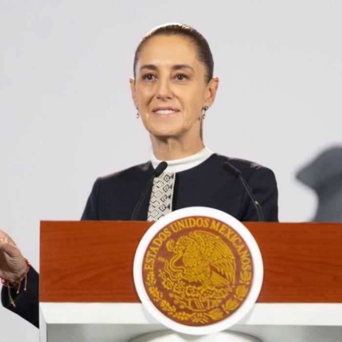 Suavizar curvas del Tren Interoceánico llevará “algunos años”, admite Sheinbaum