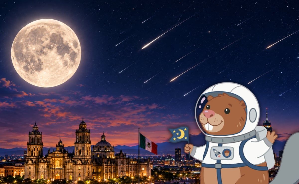 superluna-de-castor-y-lluvias-de-meteoros-los-eventos-astronomicos-de-noviembre-de-2026