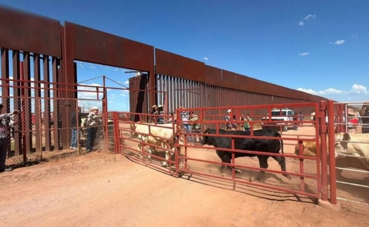 suspenden-temporalmente-exportacion-de-ganado-de-sonora-a-eu-por-sospecha-de-fiebre-aftosa