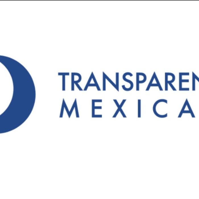 Transparencia Mexicana propone siete acciones para recuperar la confianza en el INE