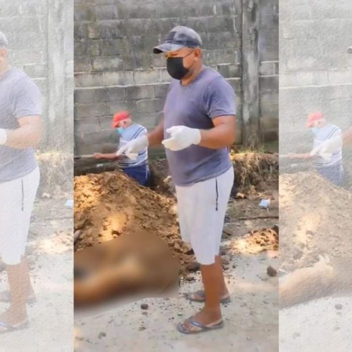 Vecinos de Pijijiapan denuncian presunto envenenamiento de más de 25 perros