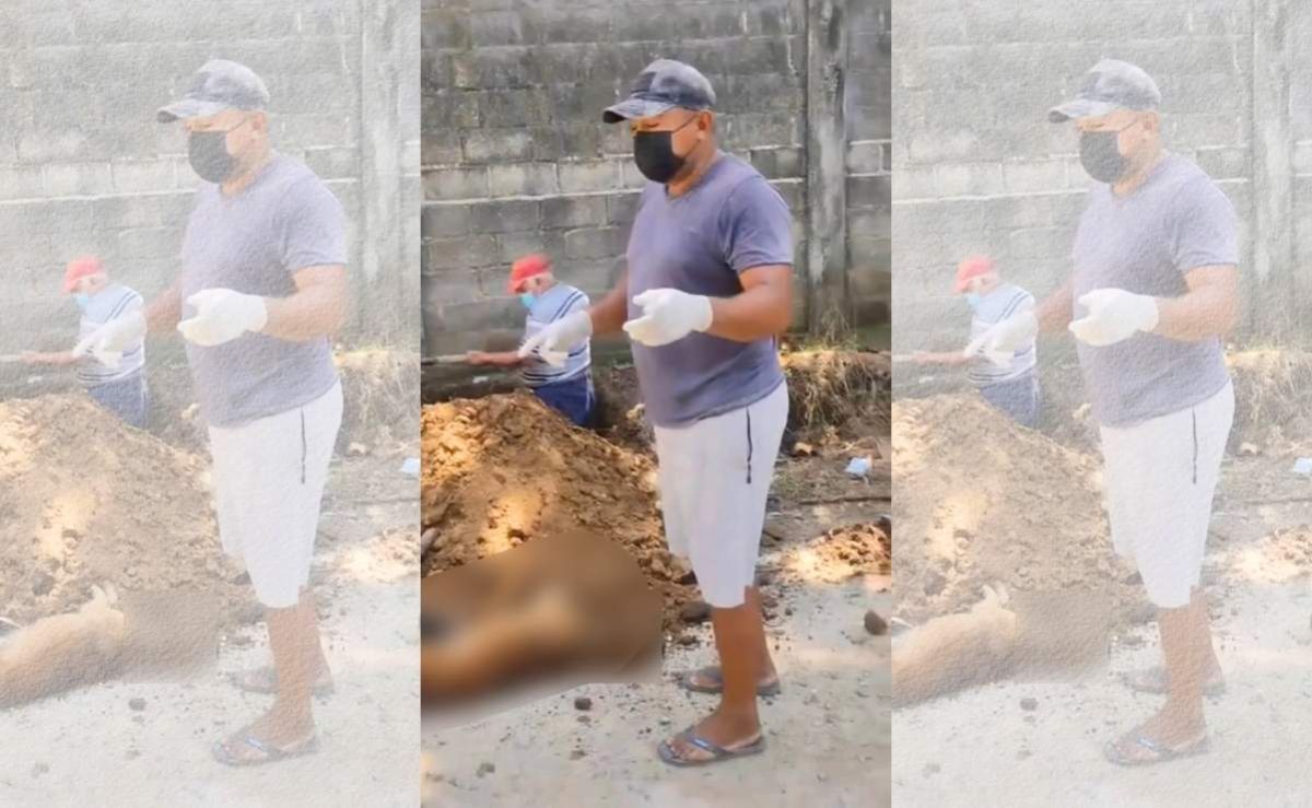 vecinos-de-pijijiapan-denuncian-presunto-envenenamiento-de-mas-de-25-perros