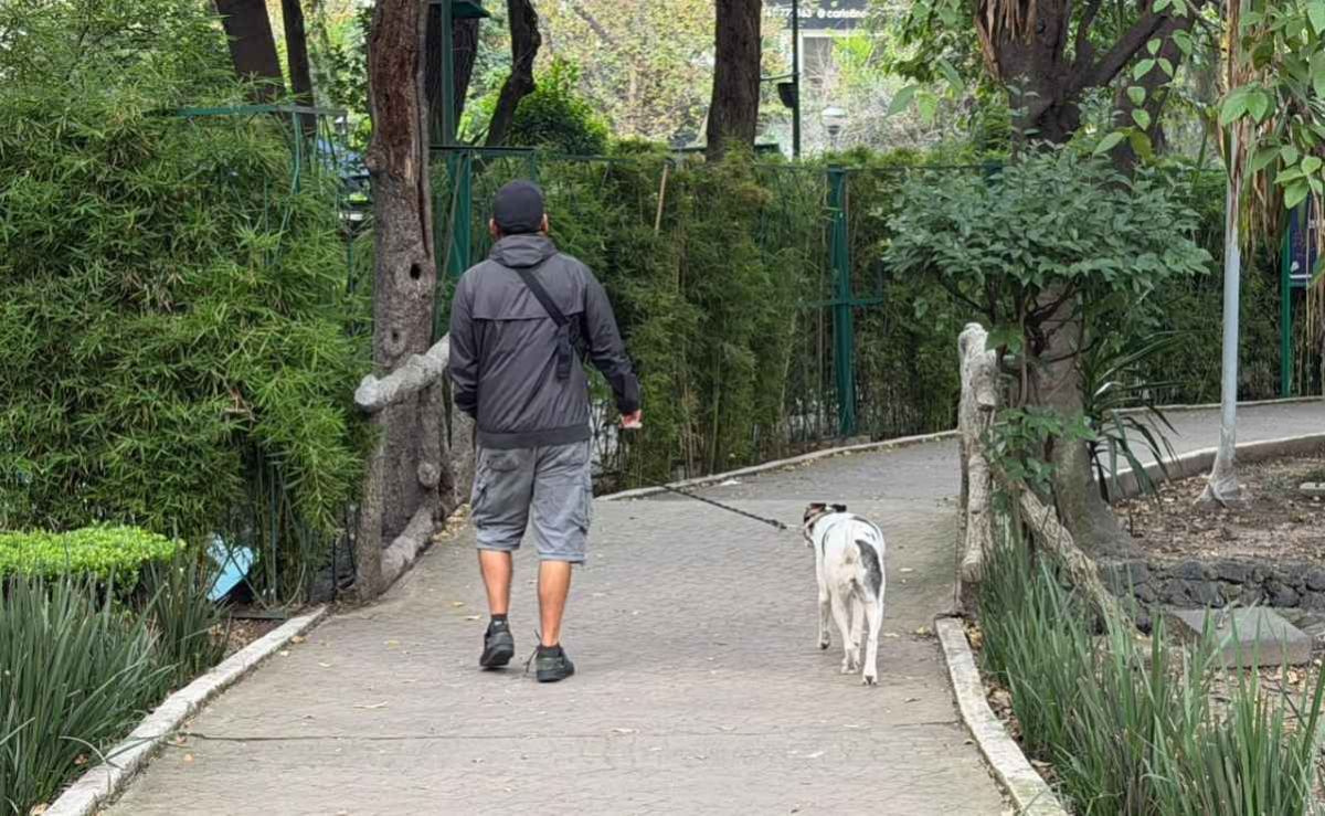 vecinos-de-la-condesa-forman-brigadas-tras-envenenamiento-de-perros-en-parque-espana