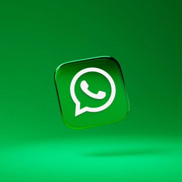 ¿Cómo recuperar historias eliminadas de WhatsApp en Android?